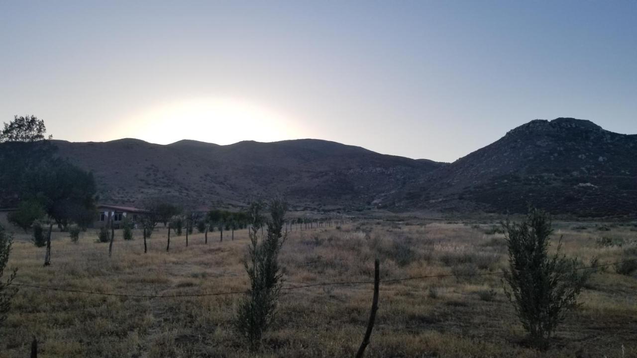 Cabanas Los Laureles Ruta Del Vino Bc Ensenada Exterior foto
